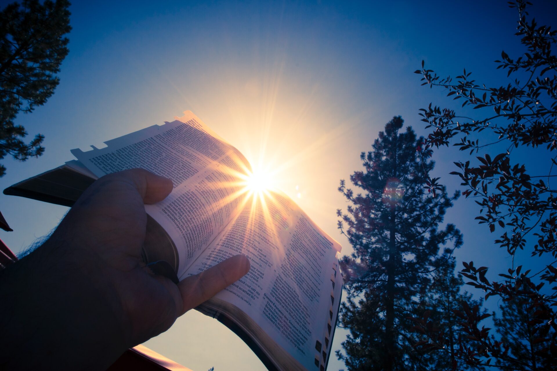 A person holding an open book in front of the sun.